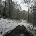 A snowy January day - Harewood