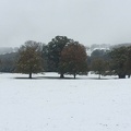 Snowy scene in the grounds