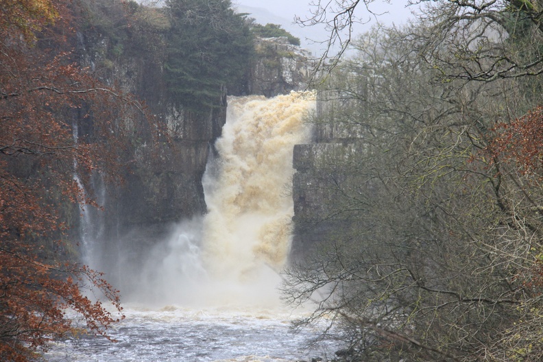 4th Prize High Force 