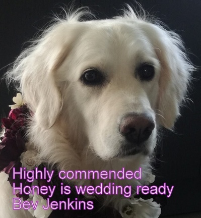 Honeyisweddingready-Copy2