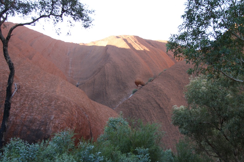 7 Australia--Uluru close up during walk about.jpg