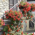 10 Blooming Italy