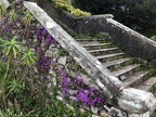 44 Sizergh Steps at Sizergh Castle and Gardens, Helsington, Cumbria