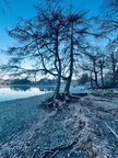 4th and Runner up 'Frosty morning at Derwentwater' by Sue Matthews