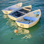 2026 Photo Competition Winners