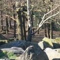 Around Ilkley
