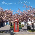 Baildon