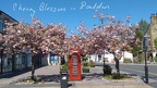Baildon