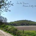 SouthDowns