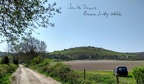 SouthDowns