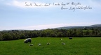 SouthDowns1