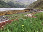 Kinloch Hourn