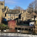 5 Bingley
