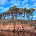 7 Budleigh Salterton