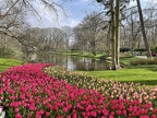 21 Flower Park (3295 visits) 21 Flower Park