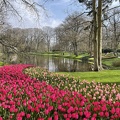 3rd Flower Park by Bob Gomersall