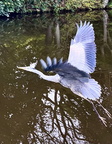 Take off