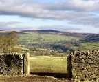 Dalesway view