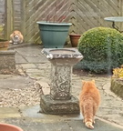 Let t&#039;battle commence