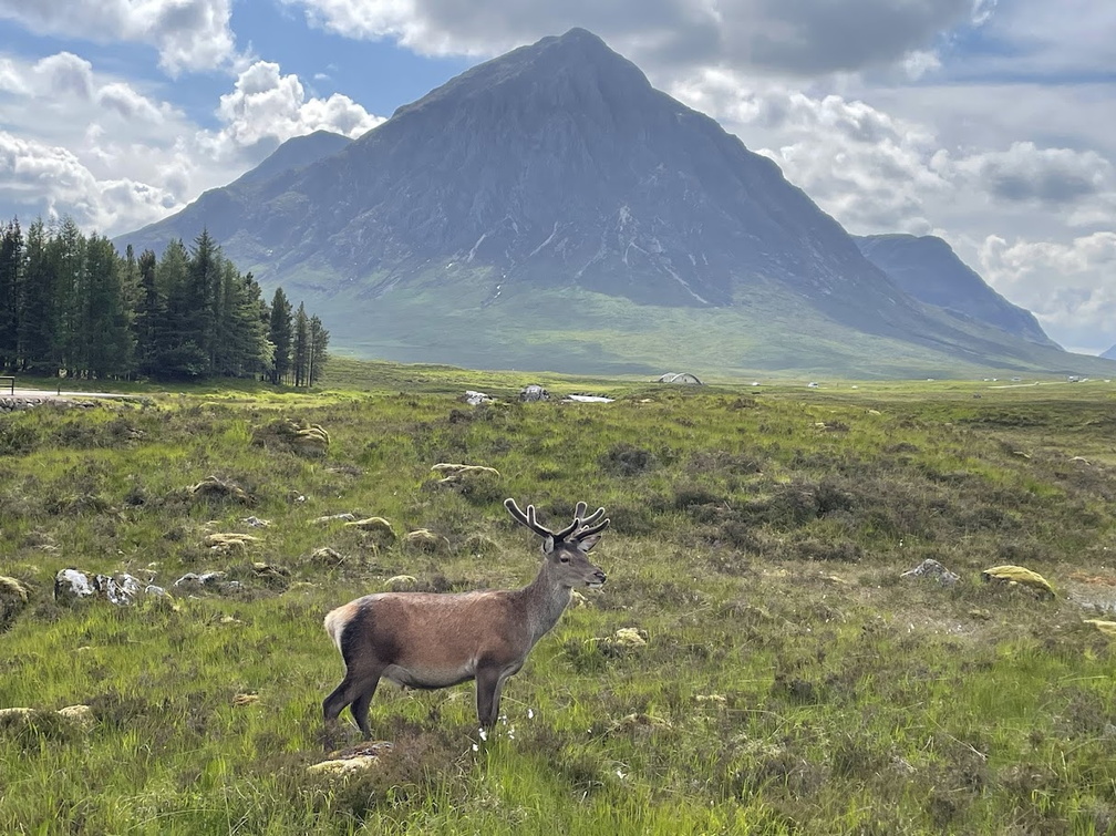 3rd Prize Alone on Rannoch Moor by Bob Gomersall