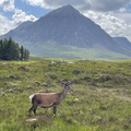 3rd Prize Alone on Rannoch Moor by Bob Gomersall