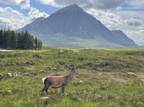 3rd Prize Alone on Rannoch Moor by Bob Gomersall