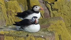 1st Prize Contentment by Jane Nanson