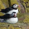 1st Prize Contentment by Jane Nanson