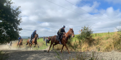 Joint Runner up Horsepower by David Abbott